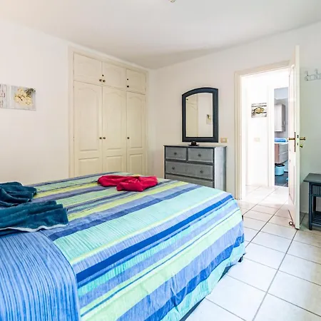 Perla Marina En Rocas Del Mar