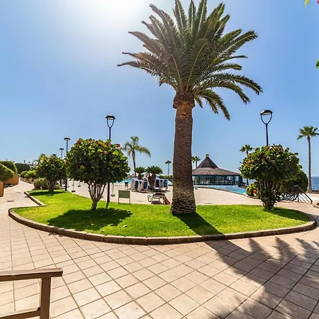 Perla Marina En Rocas Del Mar * Arona (Tenerife)